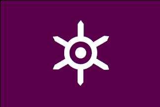 Flag of Tokyo Metro Area
