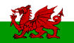 Welsh Flag